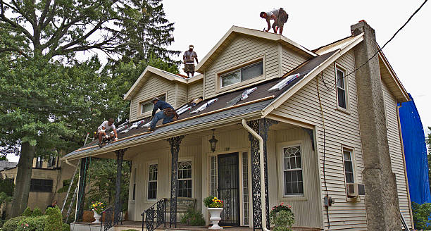 Best Roof Repair Services  in Desert Aire, WA